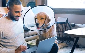 一个男人拿着他的笔记本电脑坐在地板上, 抚摸着脖子上戴着圆锥体的金毛猎犬
